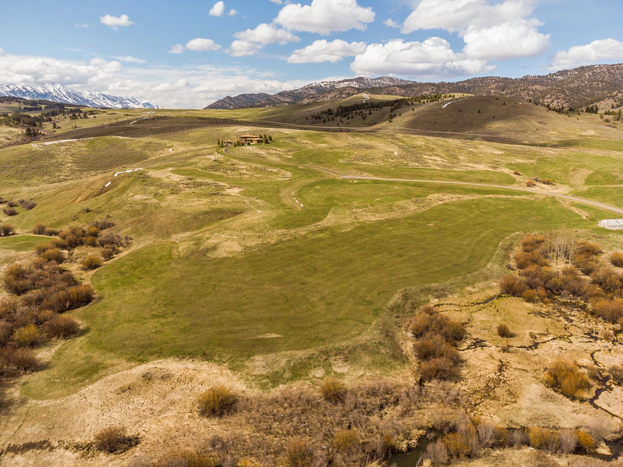 large-01927504-fef0-71b9-ab3e-768cde0ca656