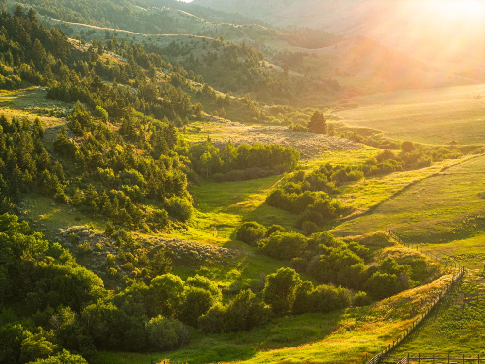 O’Rea Creek Rd, MT 59047