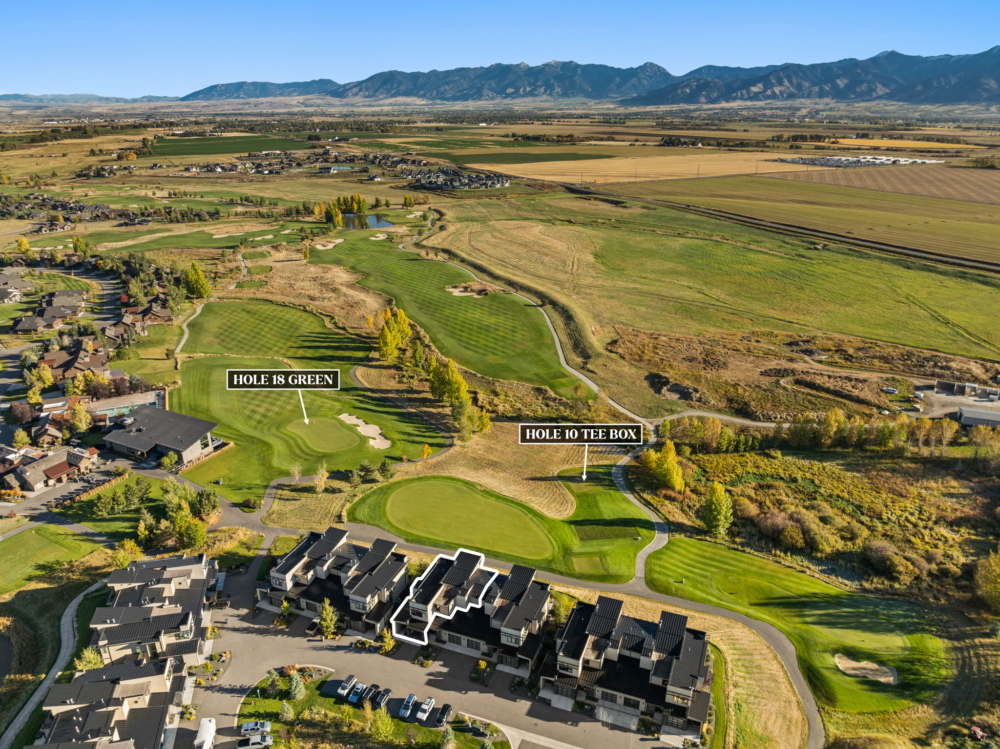 large-0199e0d9-03c6-70e6-ae90-550cada4642e