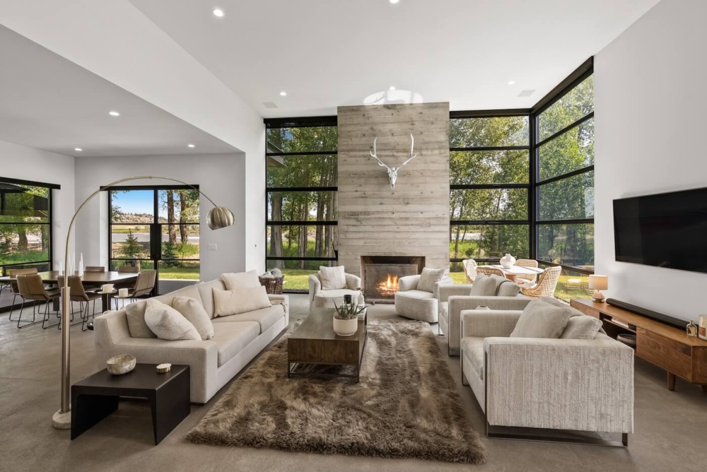 Large and modern living room